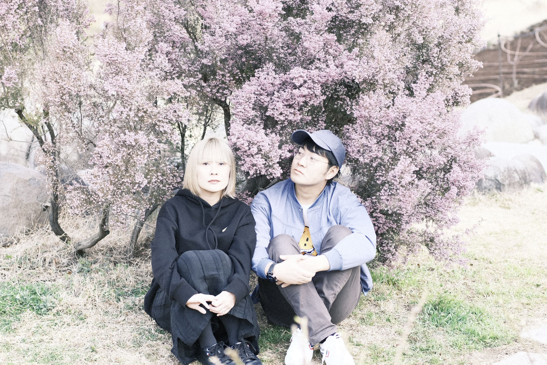 Imagen destacada de grupo: Still Dreams